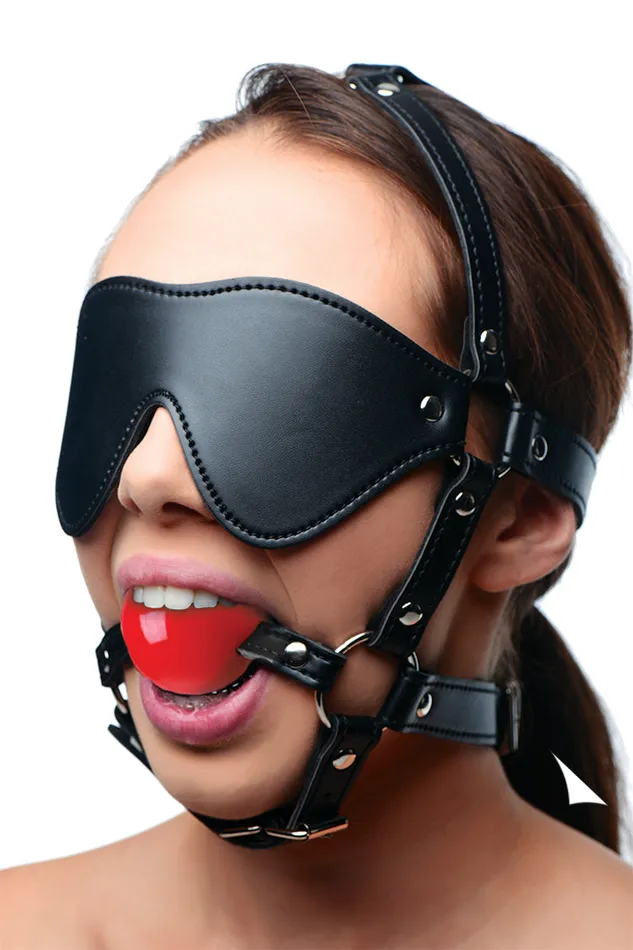 XR Brands Vibrators Blindfold Harness and Red Ball Gag